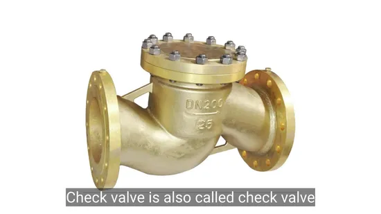 Wholesale Customizable Anti-Backflow Water Check Valve for Efficient Flow Control